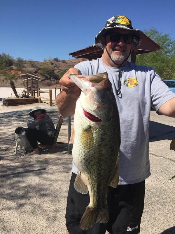 Fishing Lake Havasu State Park