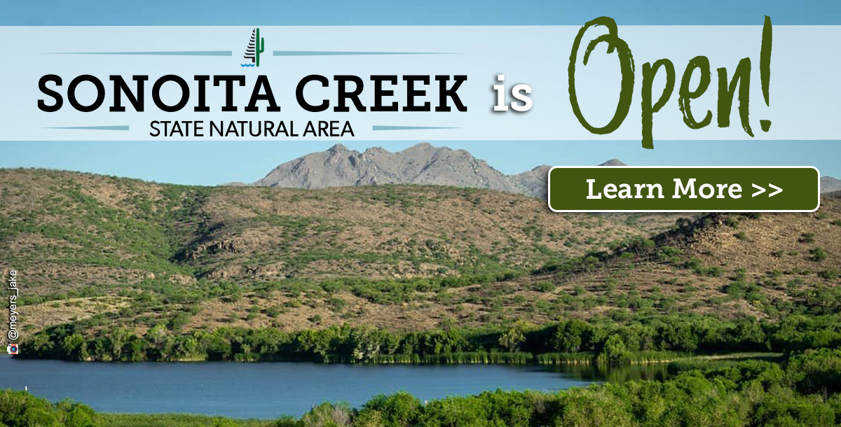 Patagonia Lake State Park Arizona