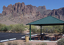 Road Runner Group Area