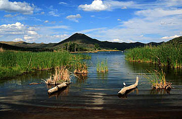 Arizona State Parks Patagonia Lake Home