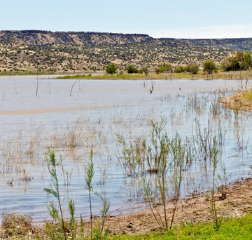 Escape to Serenity: Lyman Lake State Park, Arizona's Hidden Gem